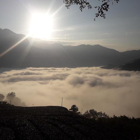 Alishan Shanyunhua B&B Homestay Meishan Екстер'єр фото