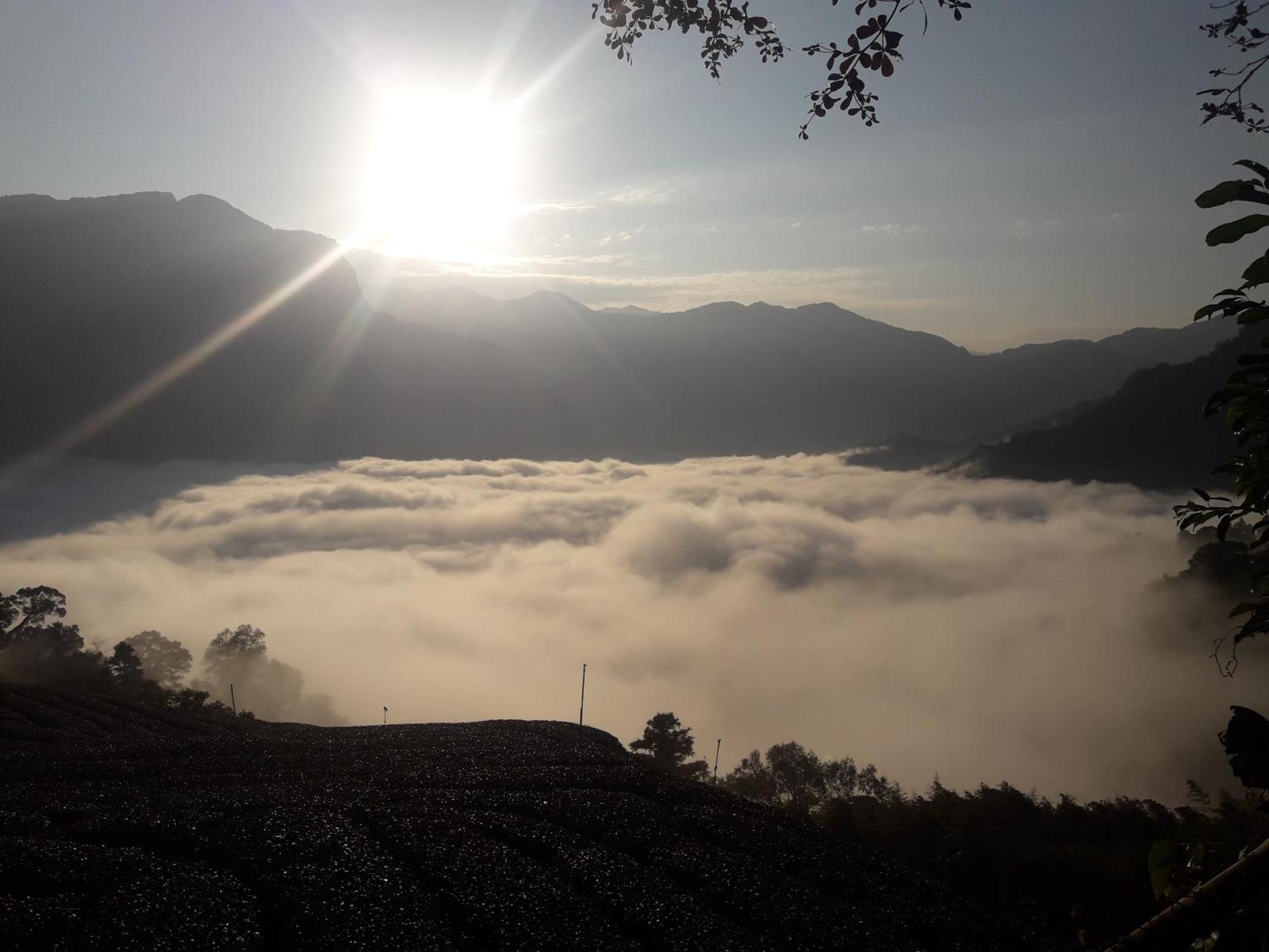 Alishan Shanyunhua B&B Homestay Meishan Екстер'єр фото
