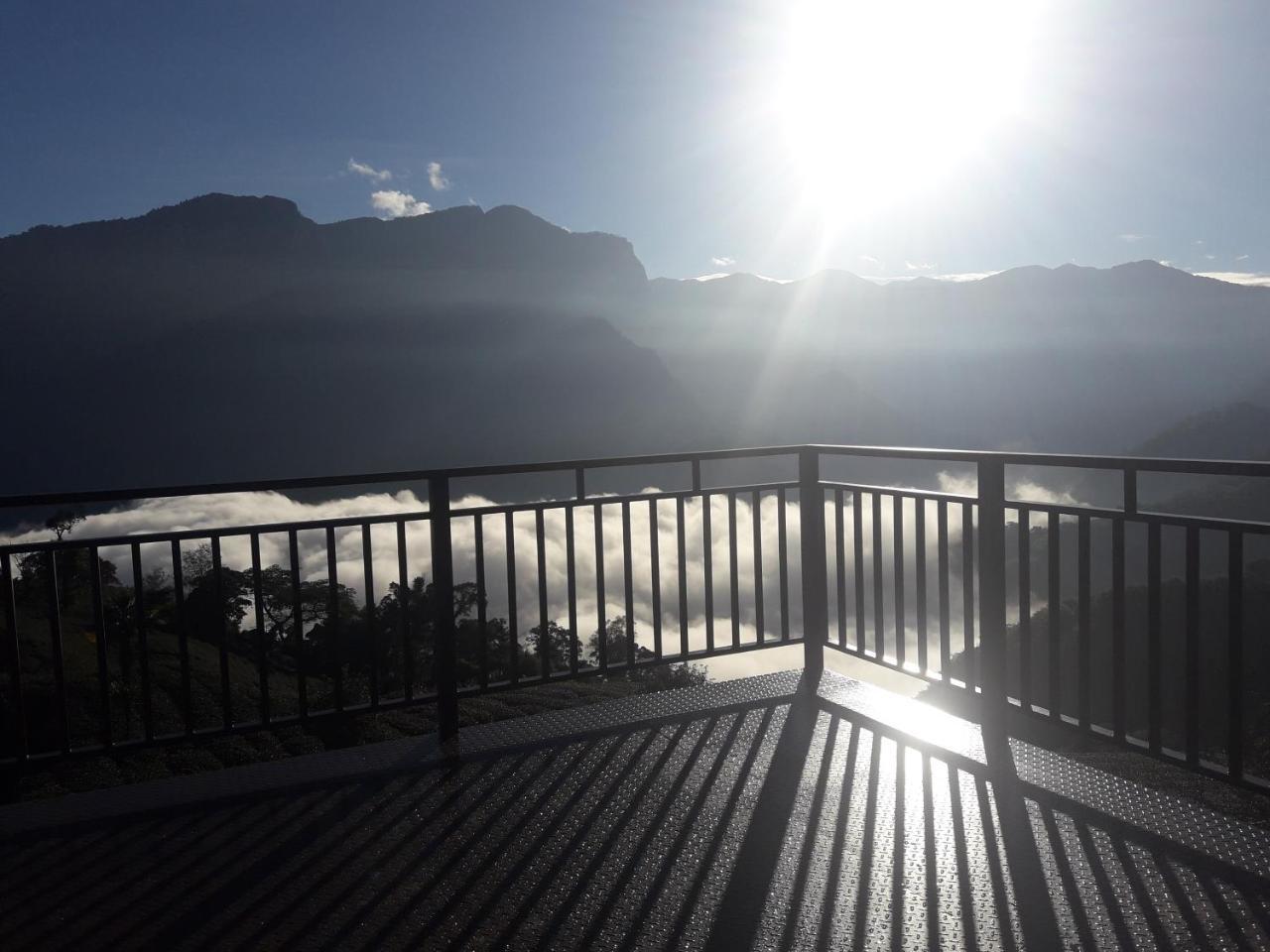 Alishan Shanyunhua B&B Homestay Meishan Екстер'єр фото
